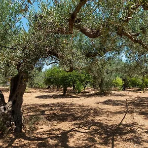 https://casa-vacanze-in-campagna-a-sciacca.sicilyhotelsitaly.net